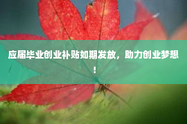 应届毕业创业补贴如期发放，助力创业梦想！第1张-EA个人工具