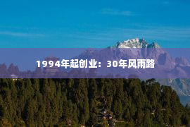 1994年起创业：30年风雨路第1张-EA个人工具