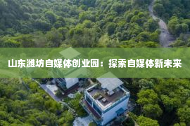 山东潍坊自媒体创业园：探索自媒体新未来第1张-EA个人工具