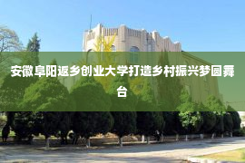 安徽阜阳返乡创业大学打造乡村振兴梦圆舞台第1张-EA个人工具